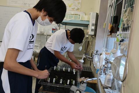 生物工学1