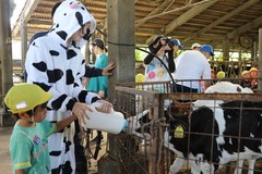 IMG_4925